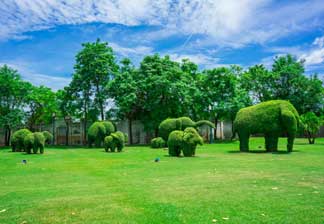 Finding Heaven in the Nilgiris