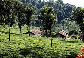Unexplored Ooty