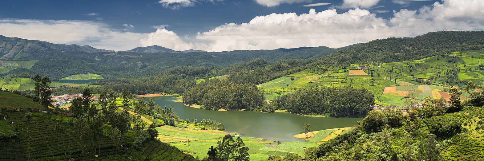 Hotels in Ooty
