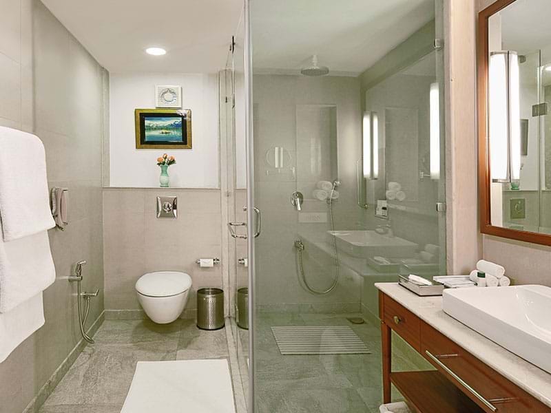 srinagar hotels