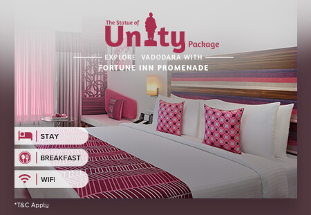 Hotel Deals In India Special Holiday Offers Special - 